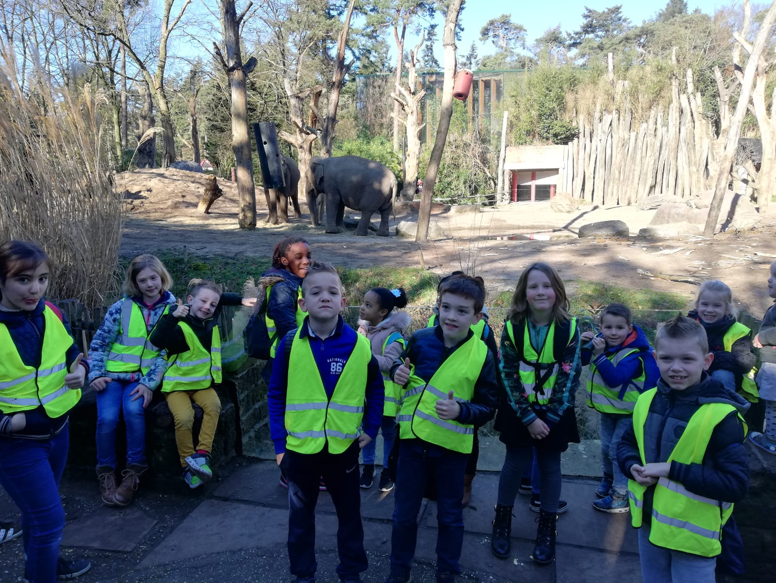 Gezellig naar de dierentuin